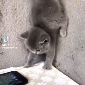 2023/09/19の画像
