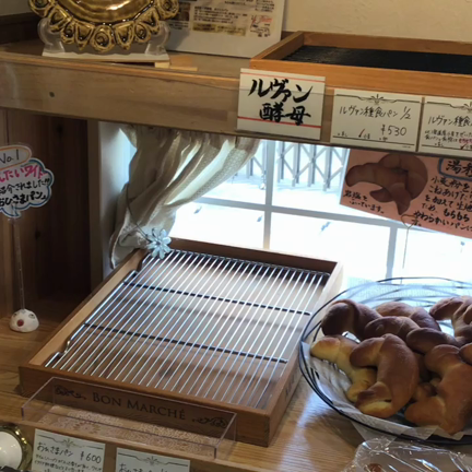 オープンです♪の記事動画