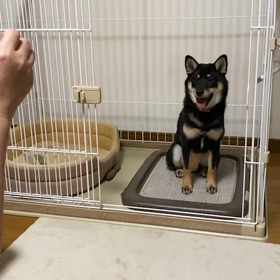 空中キャッチの画像