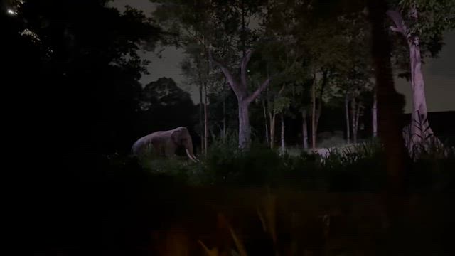 シンガポール旅行2日目の記事動画