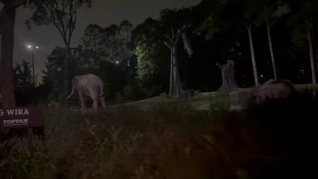 シンガポール旅行2日目の記事動画