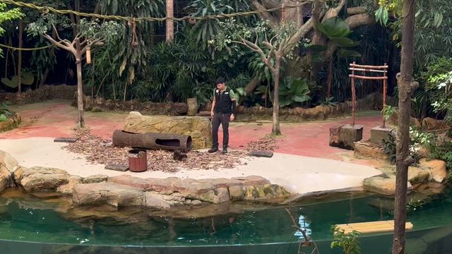 シンガポール旅行4日目の記事動画
