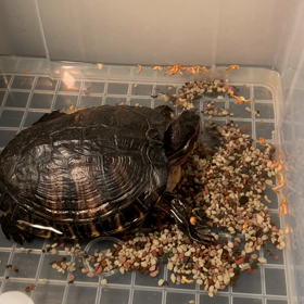 2020/06/19の画像