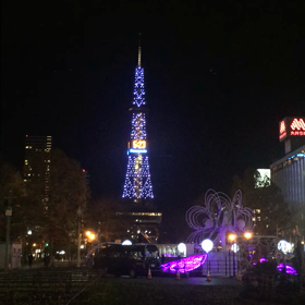 私を構成する成分は・・・でございますの画像