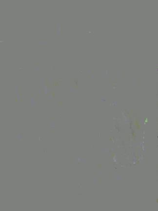 お衣装の記事動画