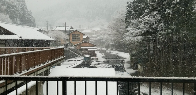 雪は降る❗の記事動画