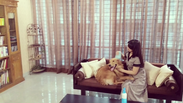 バングラデシュの撮影犬・リオくん。の記事動画