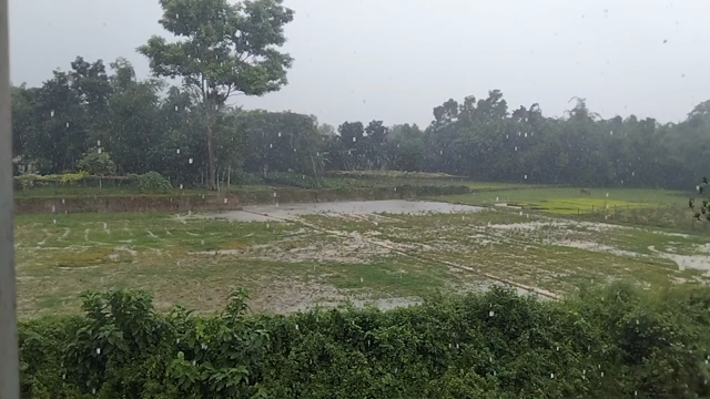 ハルアガット村の雨景色。の記事動画