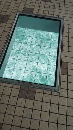 【渦の道】2024.11.28の記事動画