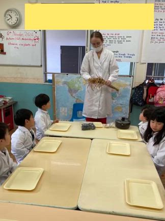 Science classの記事動画
