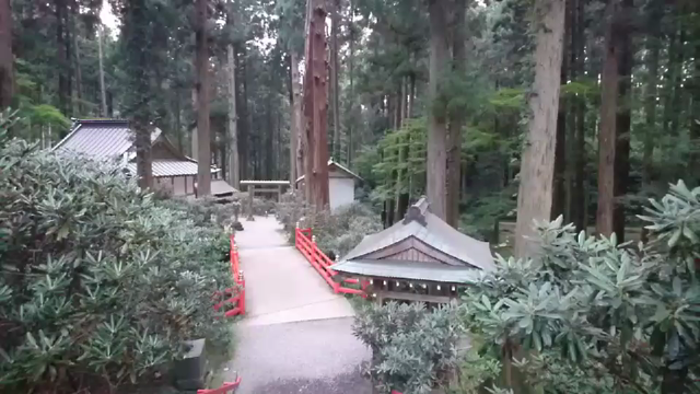 ヒグラシのオーケストラの記事動画