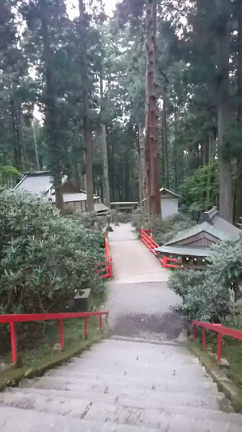 ヒグラシのオーケストラの記事動画