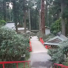 ヒグラシのオーケストラの画像