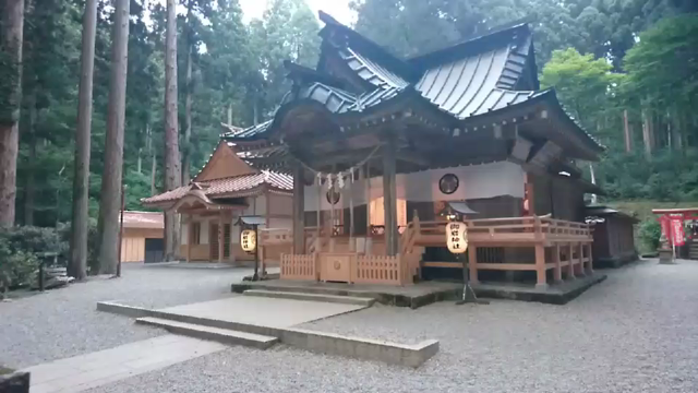 ヒグラシのオーケストラの記事動画