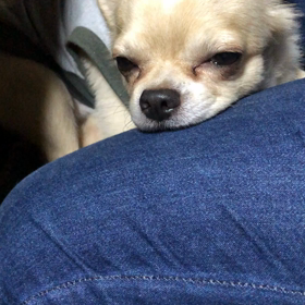 ⭐︎寝落ち⭐︎の画像