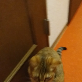 うそだと言ってぇ❗️の画像