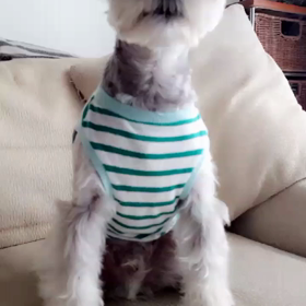 おて♪の画像