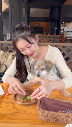 穏やかな休日の過ごし方の記事動画