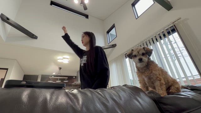 平和な1日の一部始終の記事動画