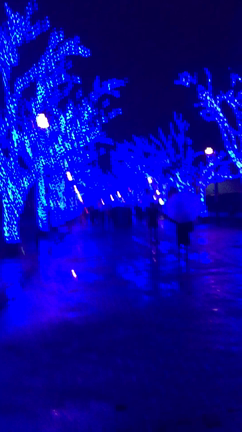 青の洞窟 ♡shibuyaの記事動画