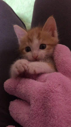 Miiyaでただいまライブ〜次はチャイナで茜企画♪の記事動画