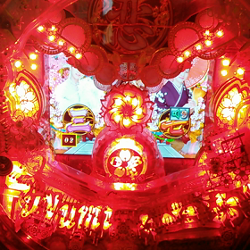 坂本冬美　動画の画像