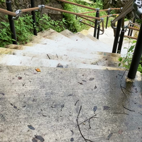 涼しさを、どうぞの画像