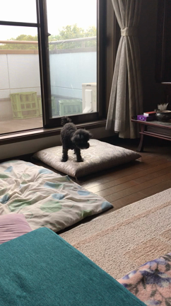 おうち時間の記事動画