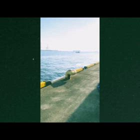 2025/02/02の画像