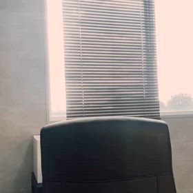 2025/03/15の画像