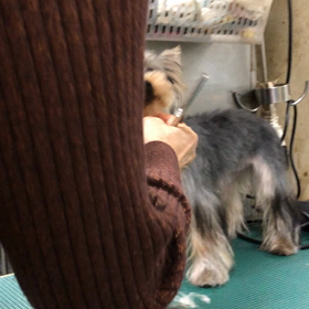 今日はU^ェ^Uの画像