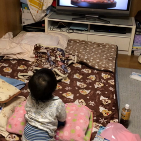 なんか惹かれるらしい…の画像