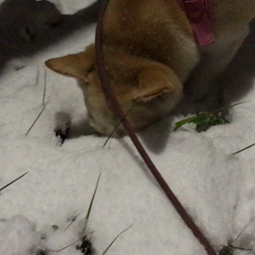 night timeの画像