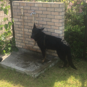 チックンできたよぉーの画像