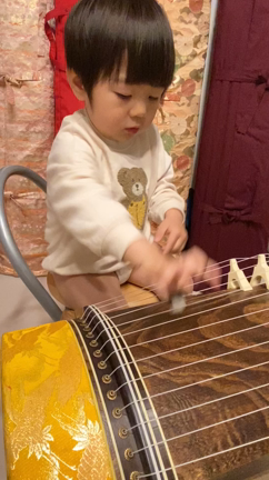 お琴を弾く1歳♪の記事動画