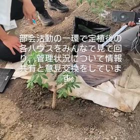 2026/09/01の画像