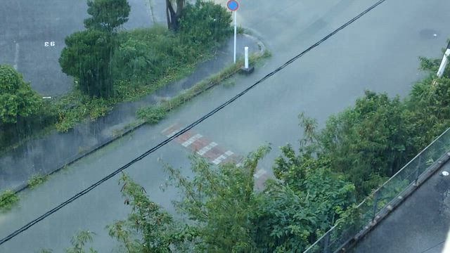おはようさん。〜ベストパートナー〜の記事動画