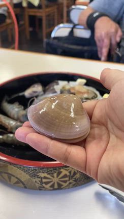 ご近所さん達と日帰り房総旅行！←老眼になり仕事を詰め込みすぎた私の記事動画