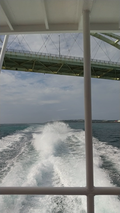 #今年のゴールデンウィークはの記事動画