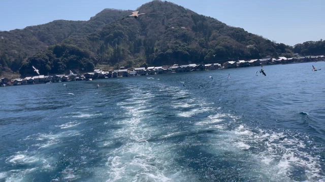 金券二千円当選&伊根湾観光の記事動画