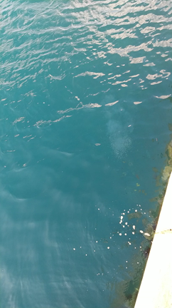 クオカ二枚目当選&キリンaupay三回目の記事動画