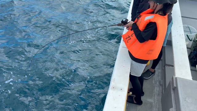ヒラーグルクン好調の記事動画