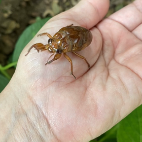 本日のワタシの画像