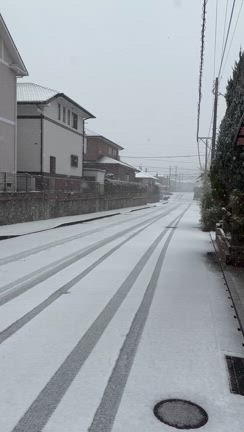 ２月の月間走行距離⌒水桃練！！他…コソッと告知wの記事動画