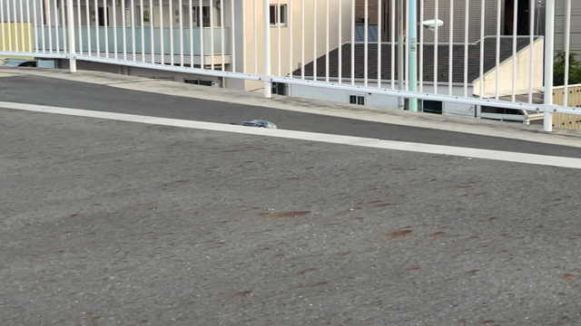走行堪能の記事動画