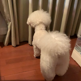 急にの画像