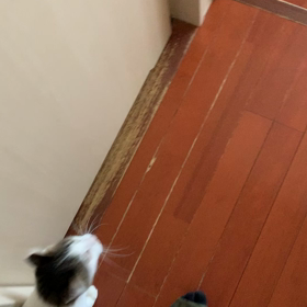くーちゃんとの時間の画像