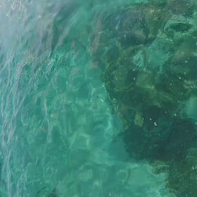 簡単 楽しい  SUP!の画像