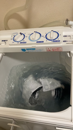 【我が家】洗濯機を買い替え＆洗面所の隙間におススメの収納グッズの記事動画