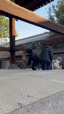 お正月の記事動画